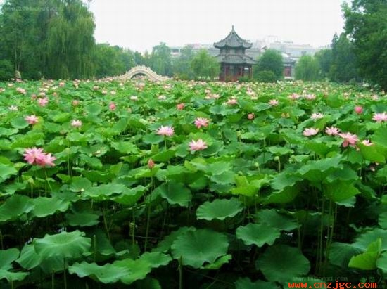 图片6.jpg